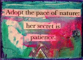 New Patience Quotes & Sayings May 2024